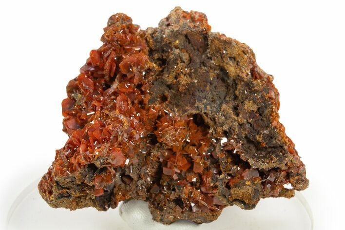 Fiery Red Wulfenite Crystal Cluster - Kuruktag Mountains, China #337090